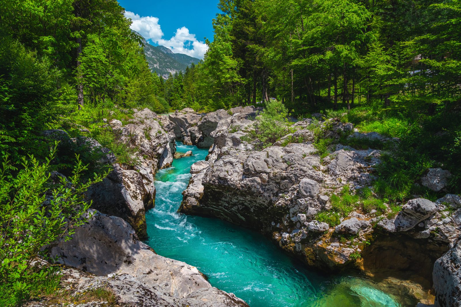 Zakaj smo se odpravili v Bovec na naše prve družinske počitnice